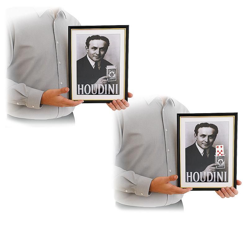 Houdini Prediction Frame – Bild 2