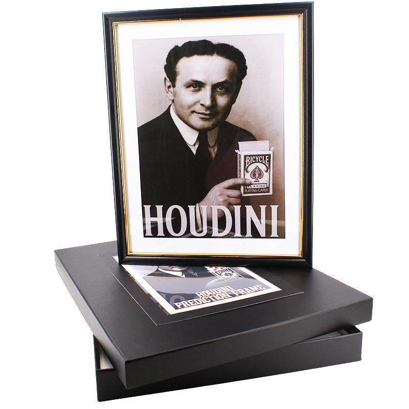 Houdini Prediction Frame